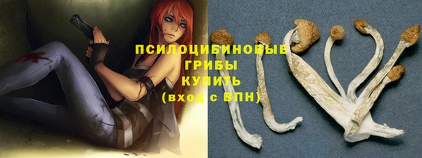 стаф Армянск