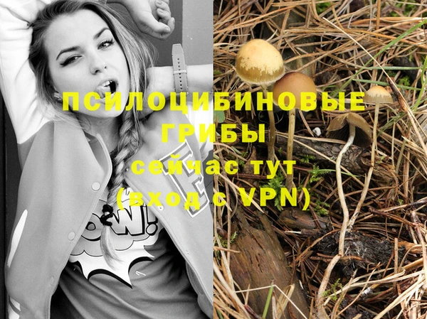 прущие крисы Арсеньев