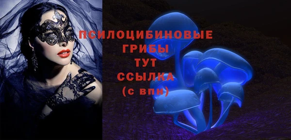 ECSTASY Аркадак